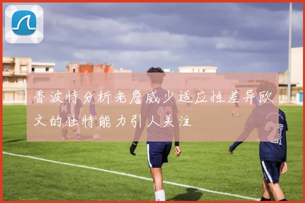 香波特分析老詹威少适应性差异欧文的独特能力引人关注